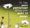 Ep. 29: The Single Most Important Thing You Need to Know